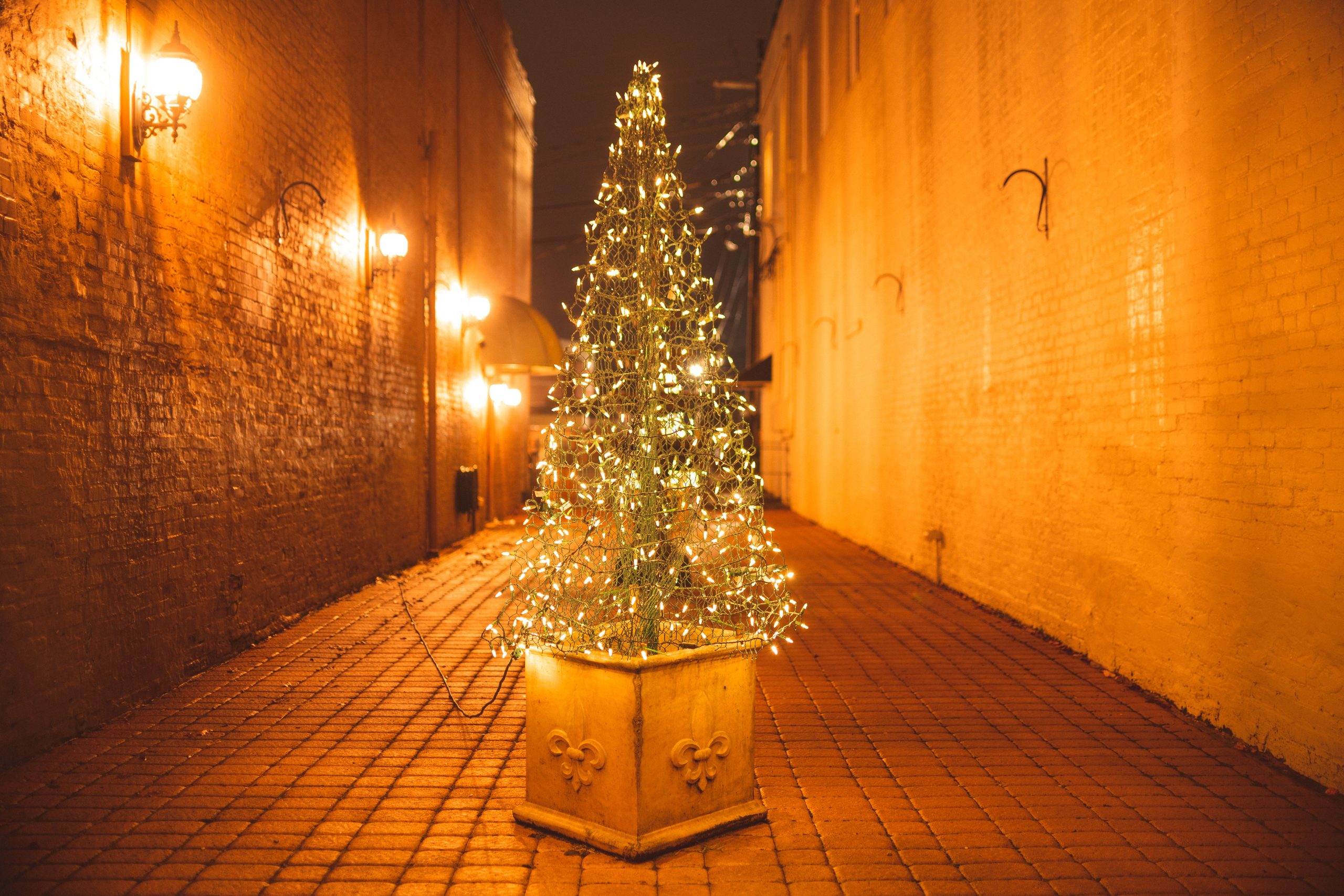 O’ Christmas Tree, How Flammable Are Your Branches?